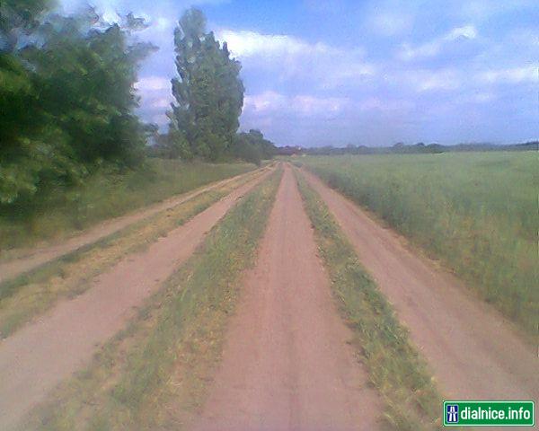 Poľná diaľnica (Sereď-Pata)