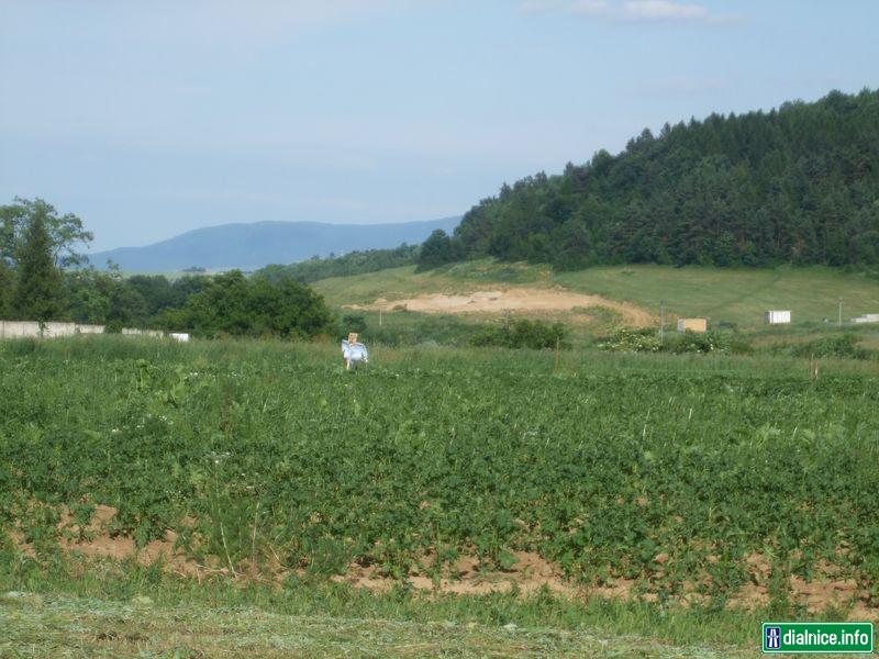 D1 Fričovce-Svinia